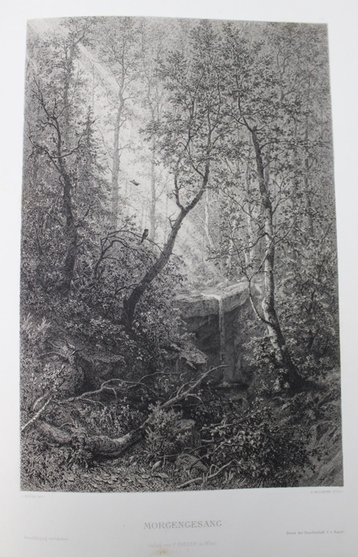 gr. formatige Kunstmappe, Waldeinsamkeit, 12 Bilder (5x fehlen), um 1920, 51,5  x 38,5cm. - Bild 5 aus 7