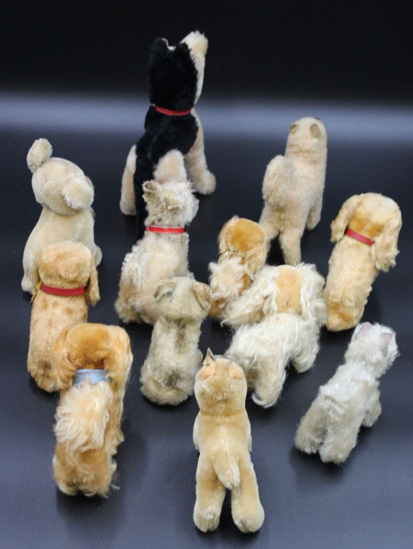 12x div. Hundefiguren, meist Steiff, älter, teilw. bespielte Erhaltung, Größter H-19,5cm. - Bild 2 aus 3