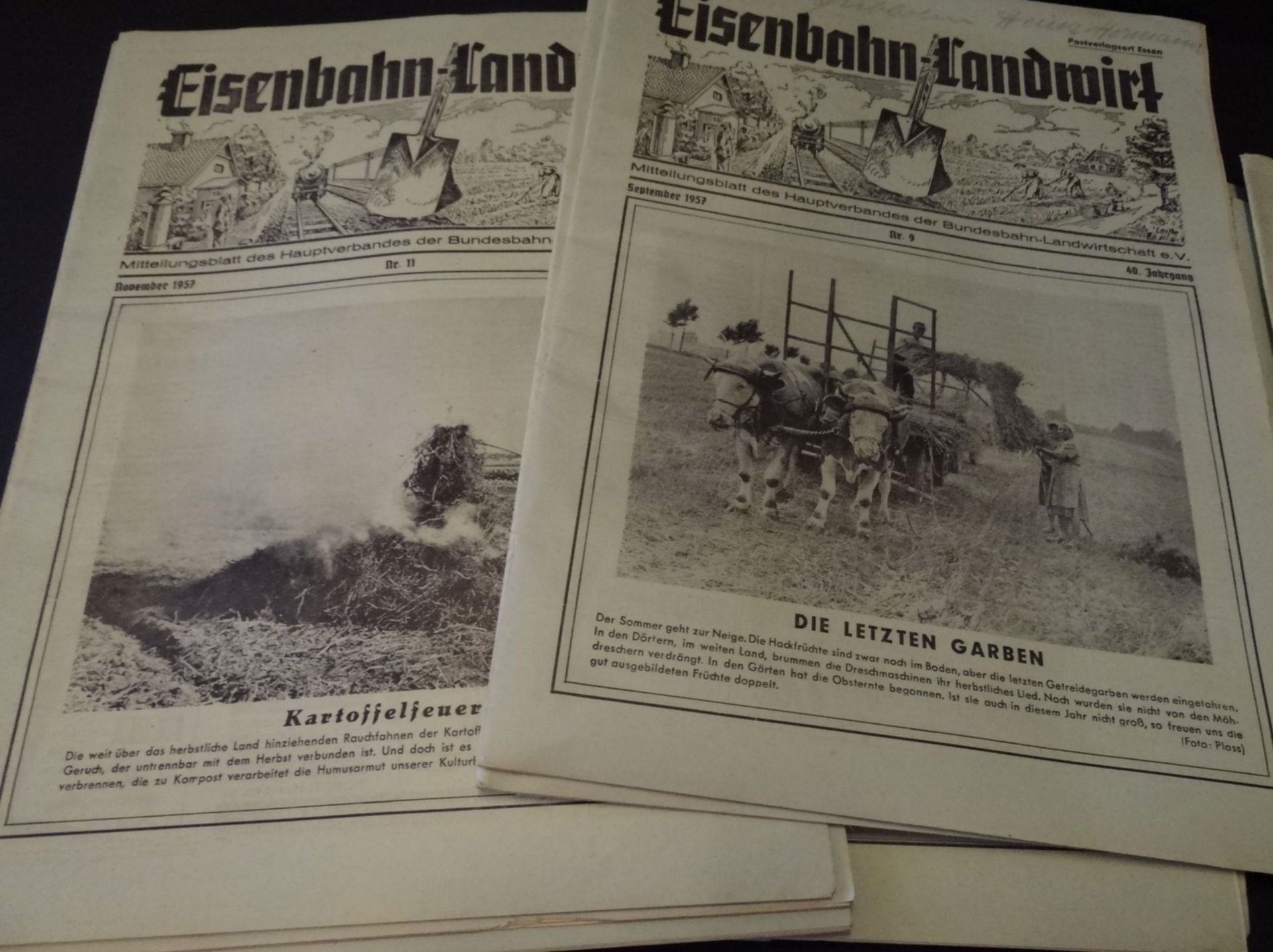 29x Illustrierte "Der Eisenbahn Landwirt", 50-er Jahre - Bild 6 aus 6