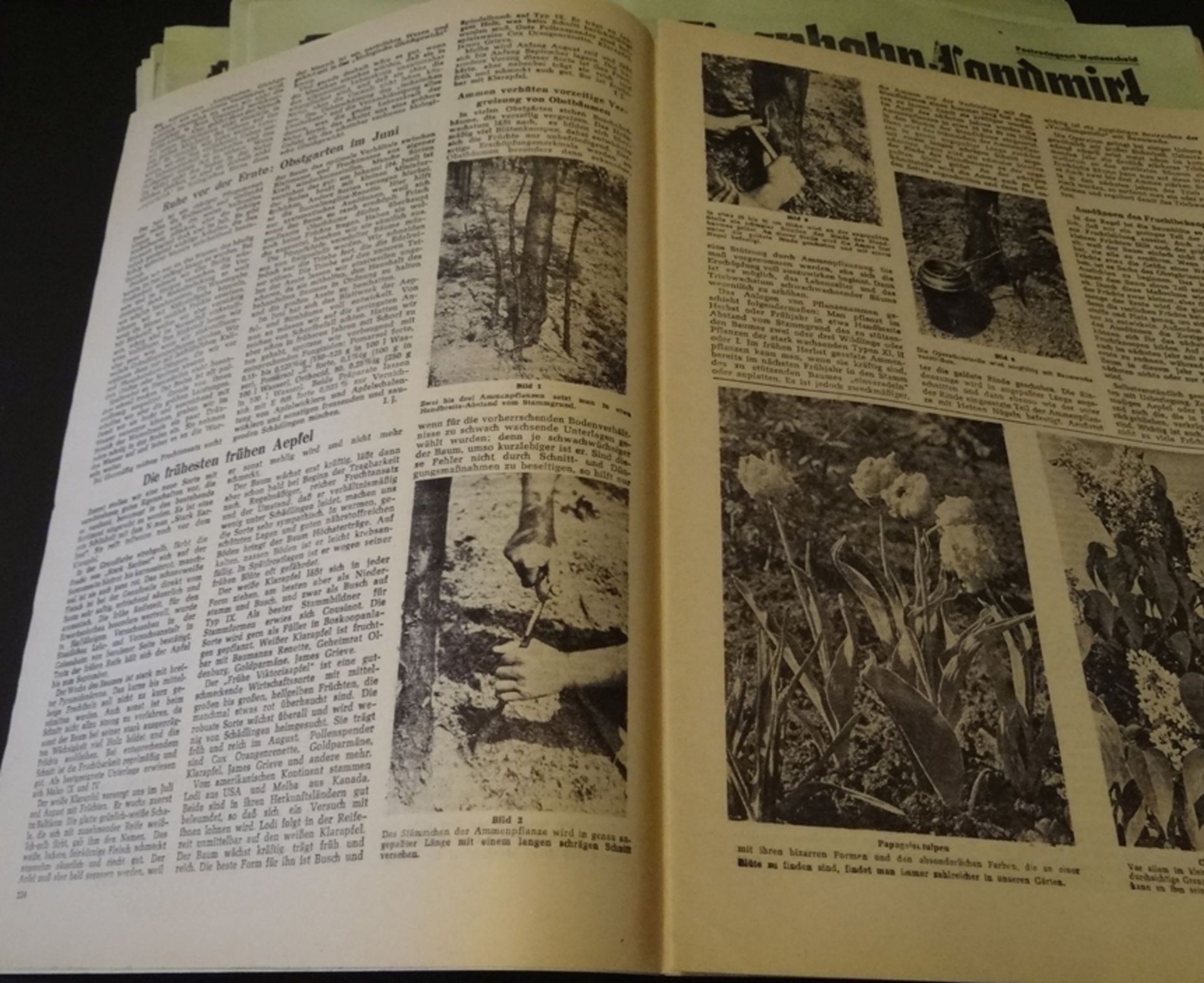 29x Illustrierte "Der Eisenbahn Landwirt", 50-er Jahre - Bild 4 aus 6