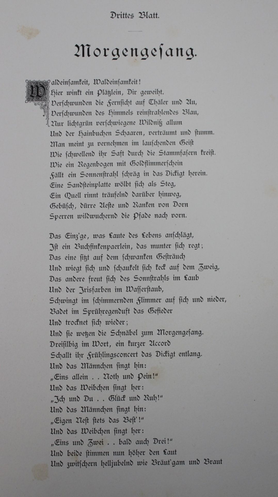 gr. formatige Kunstmappe, Waldeinsamkeit, 12 Bilder (5x fehlen), um 1920, 51,5  x 38,5cm. - Bild 6 aus 7