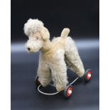 Hund auf Rollen, Steiff ?, H-32cm B-25cm, bespielte Erhaltung