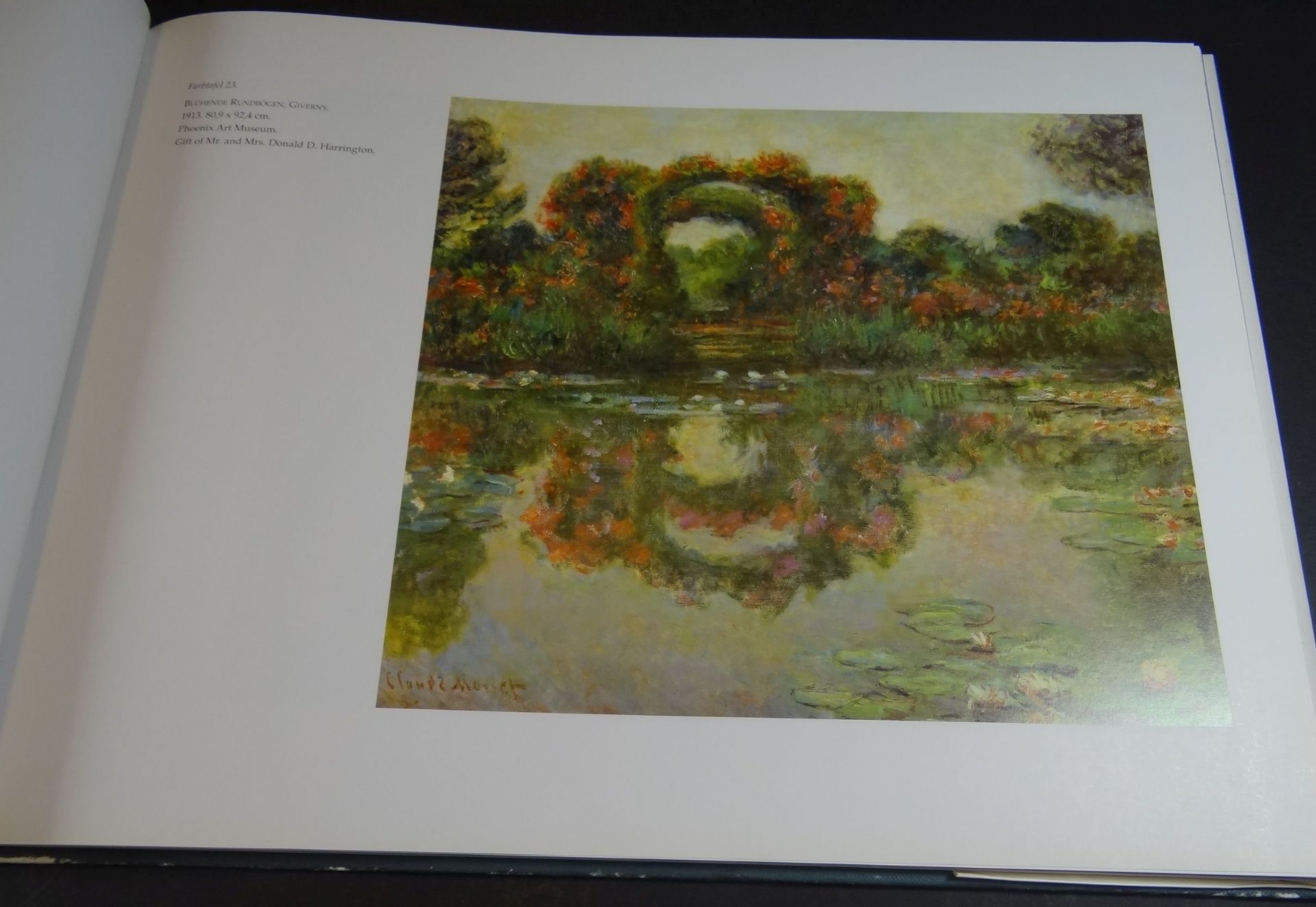 Grossbildband "Monet-Seerosen" 1988, guter Zustand - Bild 6 aus 8