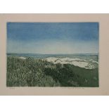 Lucie Meulendijks '82, Landschaft, Farbradierung, ger./Glas, RG 22 x 28cm.