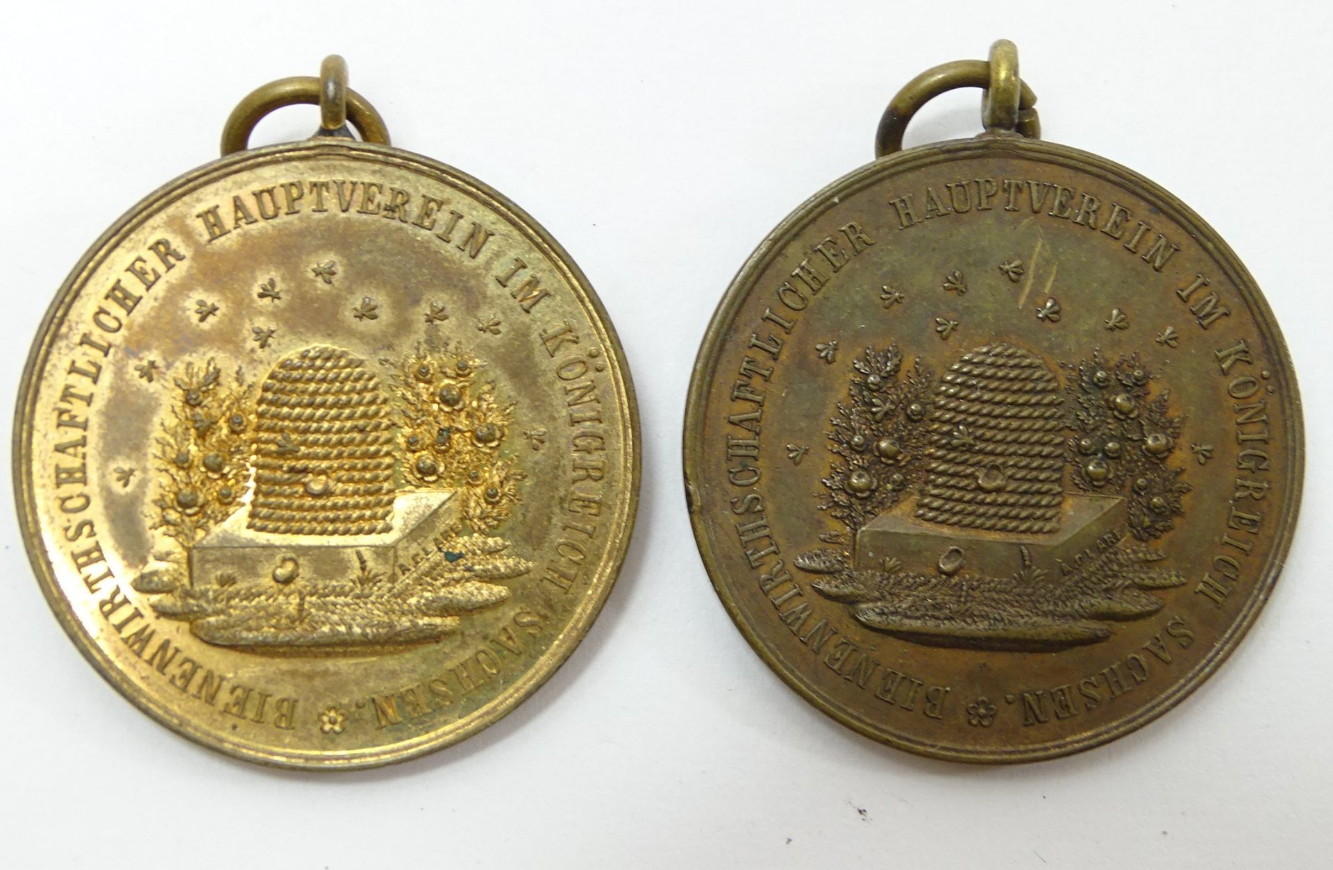 2 Medaillen Bienenwirtschaftlicher Hauptverein im Königreich Sachsen, "Für Verdienste um die Hebung