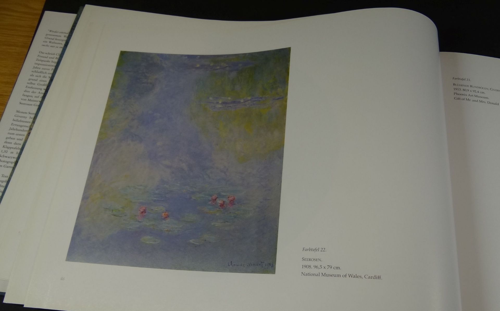 Grossbildband "Monet-Seerosen" 1988, guter Zustand - Bild 4 aus 8