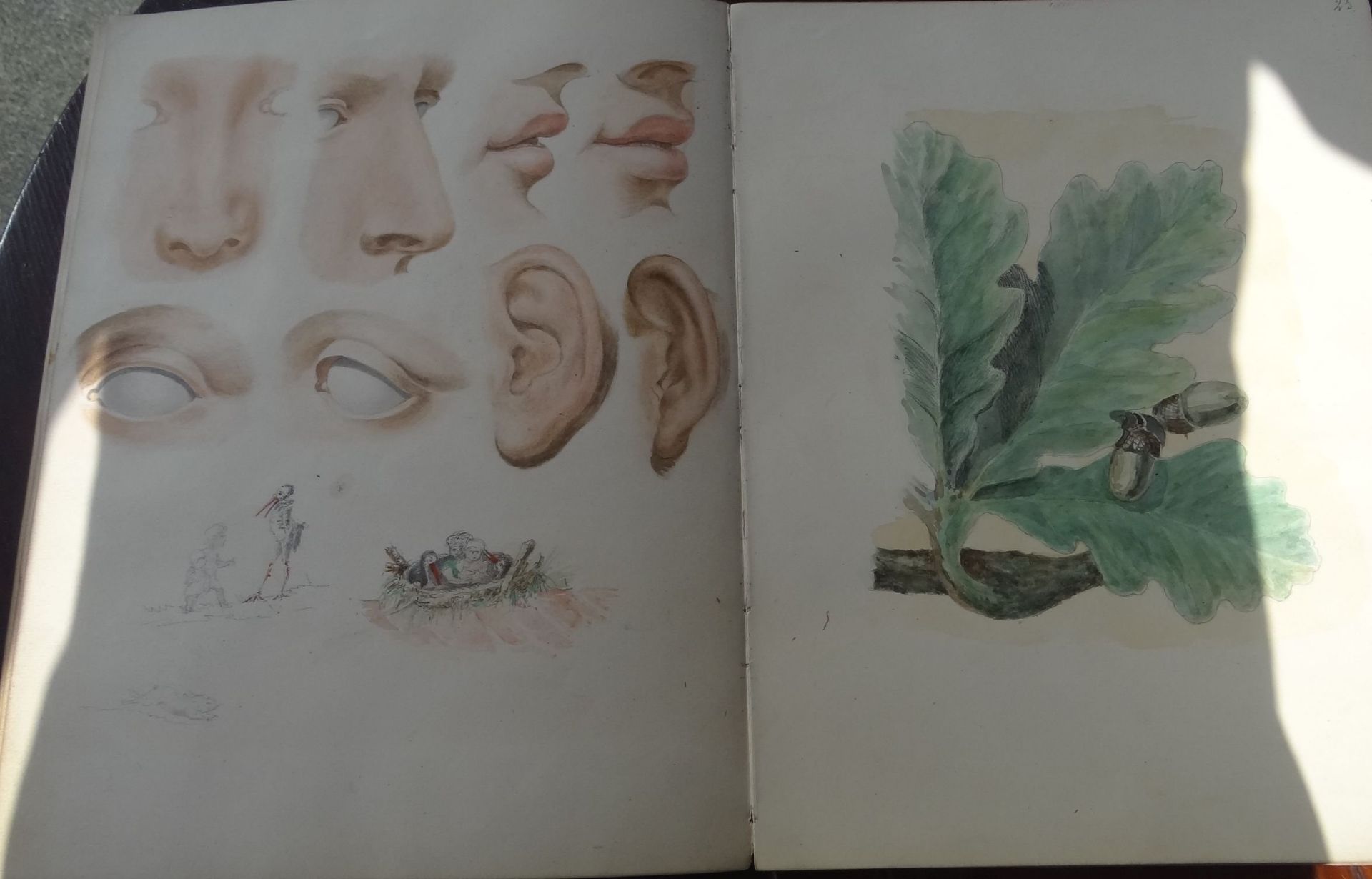 Friedrich Wilhelm Obermüller (1806-1882) Skizzenbuch voller Aquarellen,  nicht bis zum Ende ausgema - Bild 12 aus 15