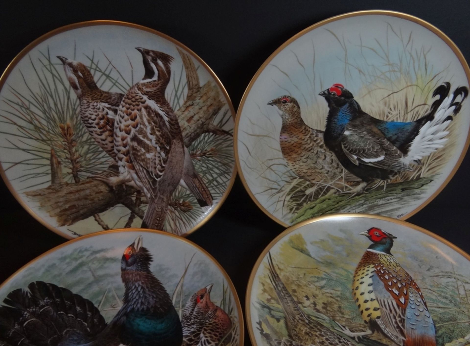 12 Vogelteller "Gamebirds of the world" Franklin Porzellan, made by Haviland/Limoges. mit Zertifika - Bild 8 aus 9