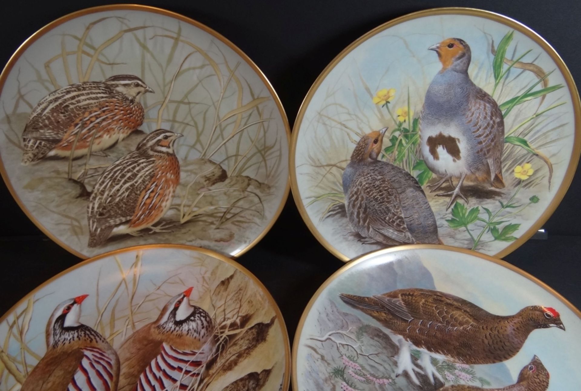 12 Vogelteller "Gamebirds of the world" Franklin Porzellan, made by Haviland/Limoges. mit Zertifika - Bild 4 aus 9