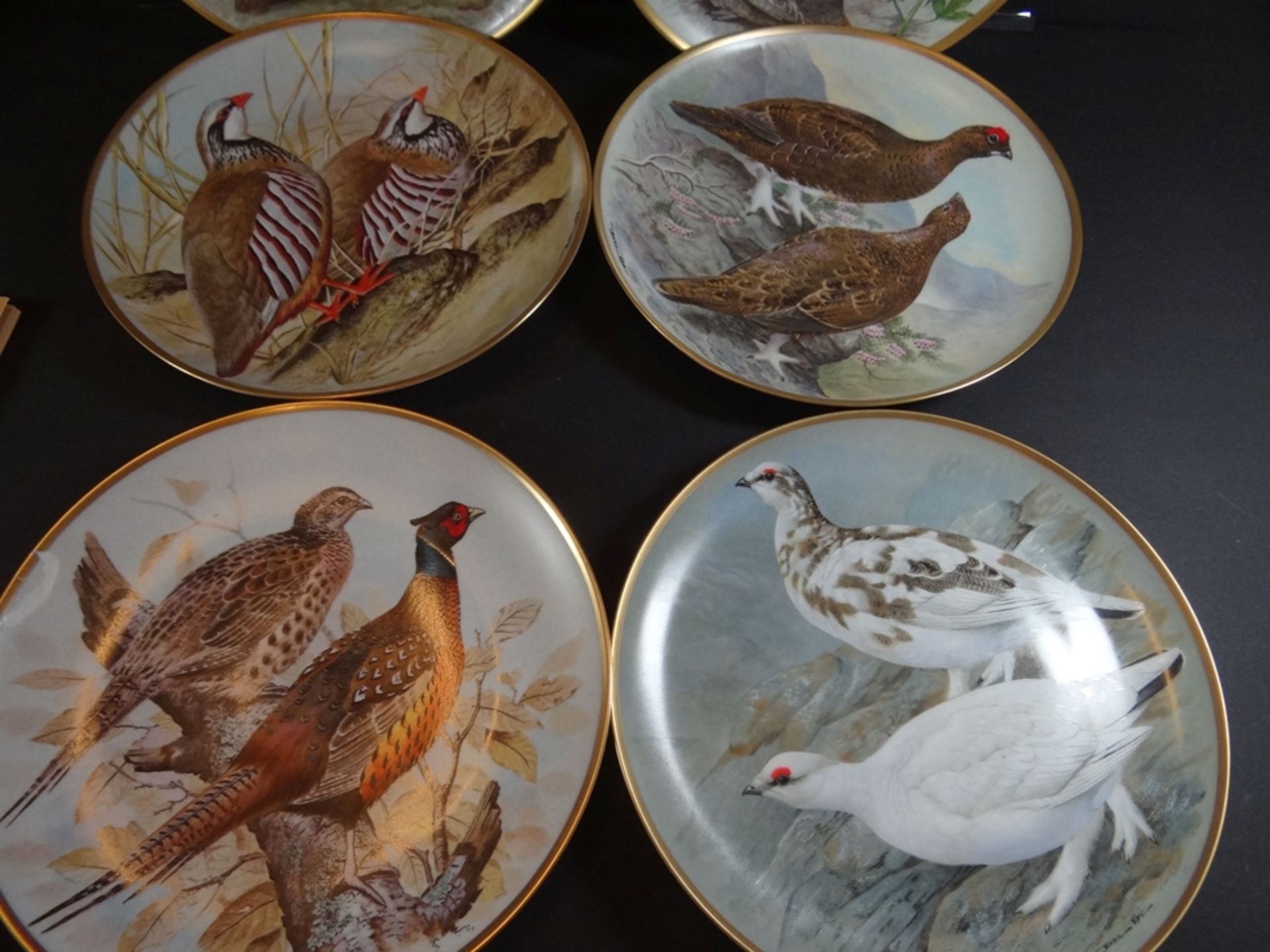 12 Vogelteller "Gamebirds of the world" Franklin Porzellan, made by Haviland/Limoges. mit Zertifika - Bild 3 aus 9
