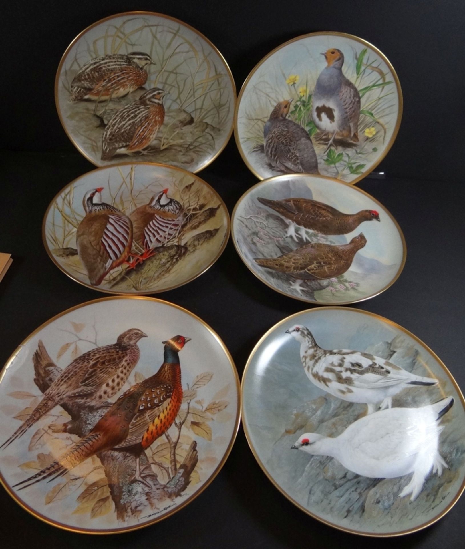 12 Vogelteller "Gamebirds of the world" Franklin Porzellan, made by Haviland/Limoges. mit Zertifika