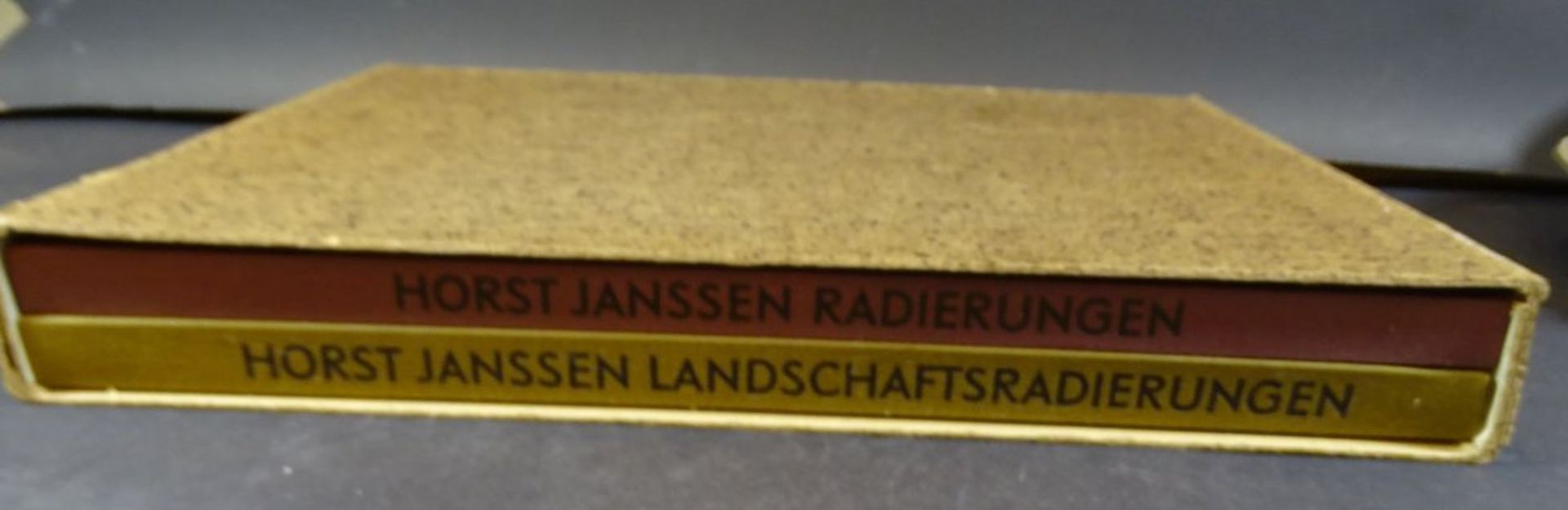Horst Janssen "Radierungen" 2 Folio Bände in Schuber, neuwertig, 1971 - Image 2 of 9
