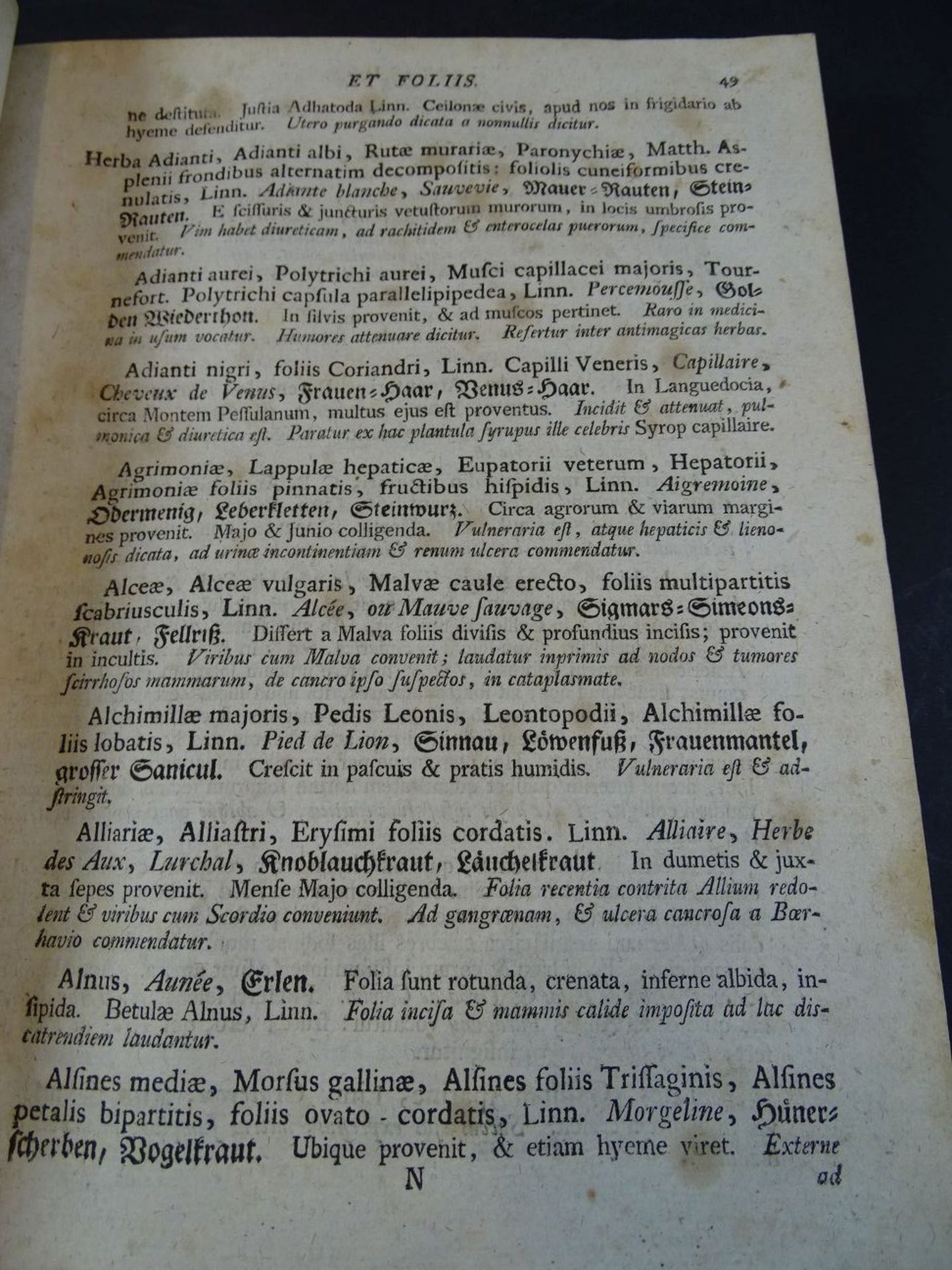 "Pharmacopoea Wirtenbergica", 1786, Titelkupfer mit Einriss, Latein, tw. stockfleckig, ansonsten gu - Image 4 of 6
