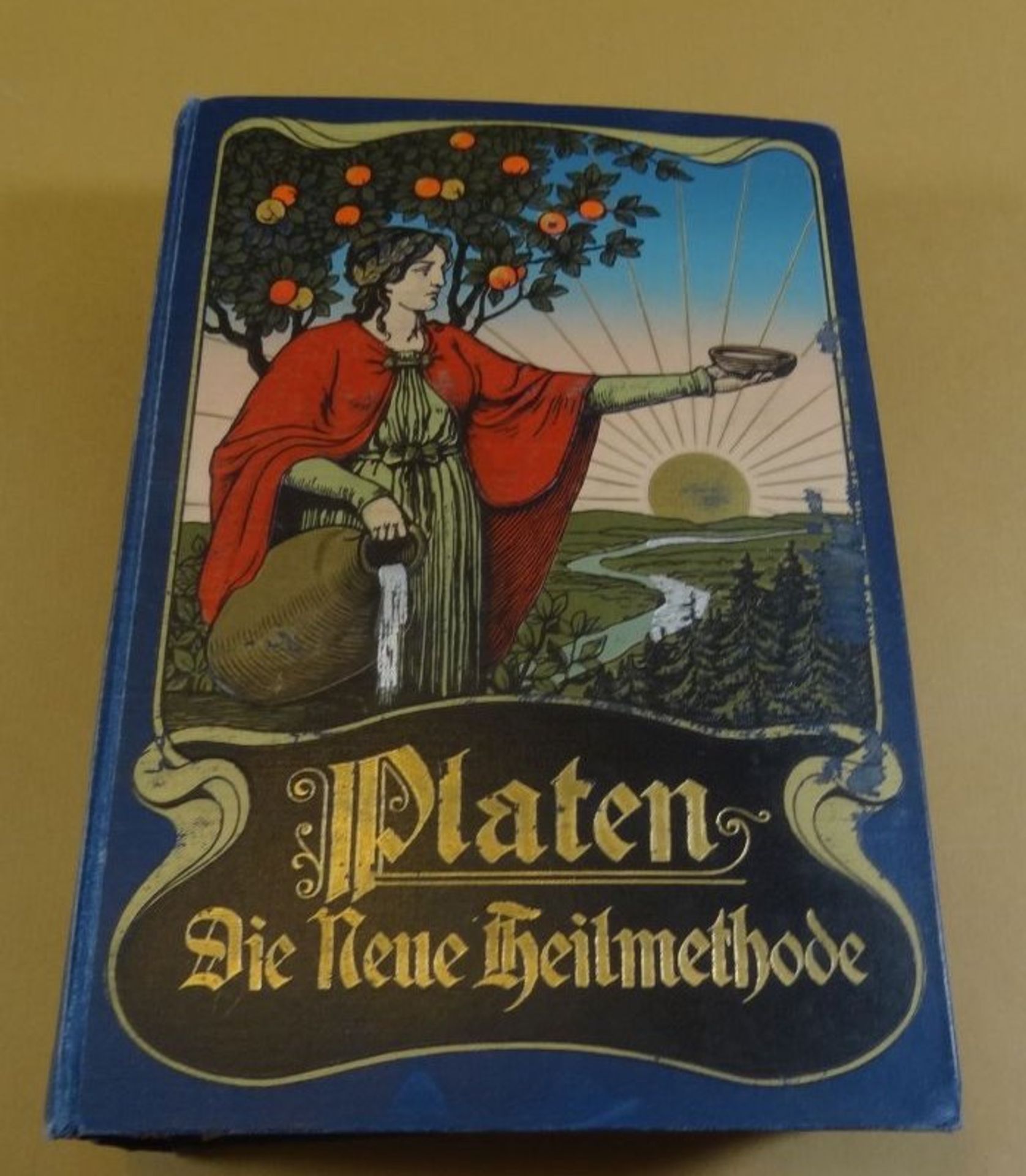 "Platen" Die neue Heilmethode, 1.Band, gut erhalten, illustriert und mit Falttaferln