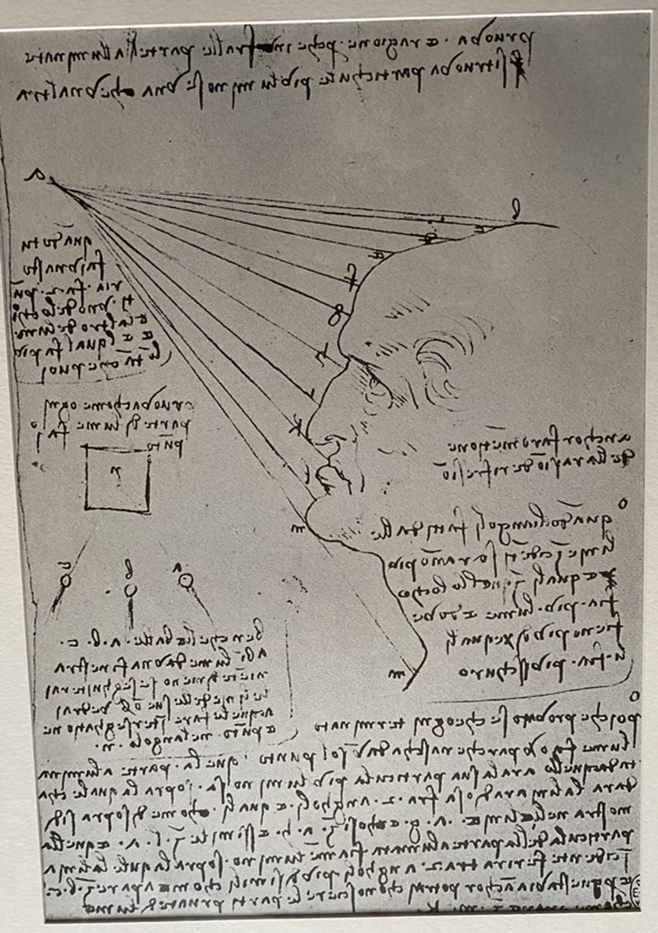 2x Grafiken nach Leonardo da Vinci, 1x Portrait Sforza, 1x Selbstportrait mit seiner typischen Rück - Bild 3 aus 11