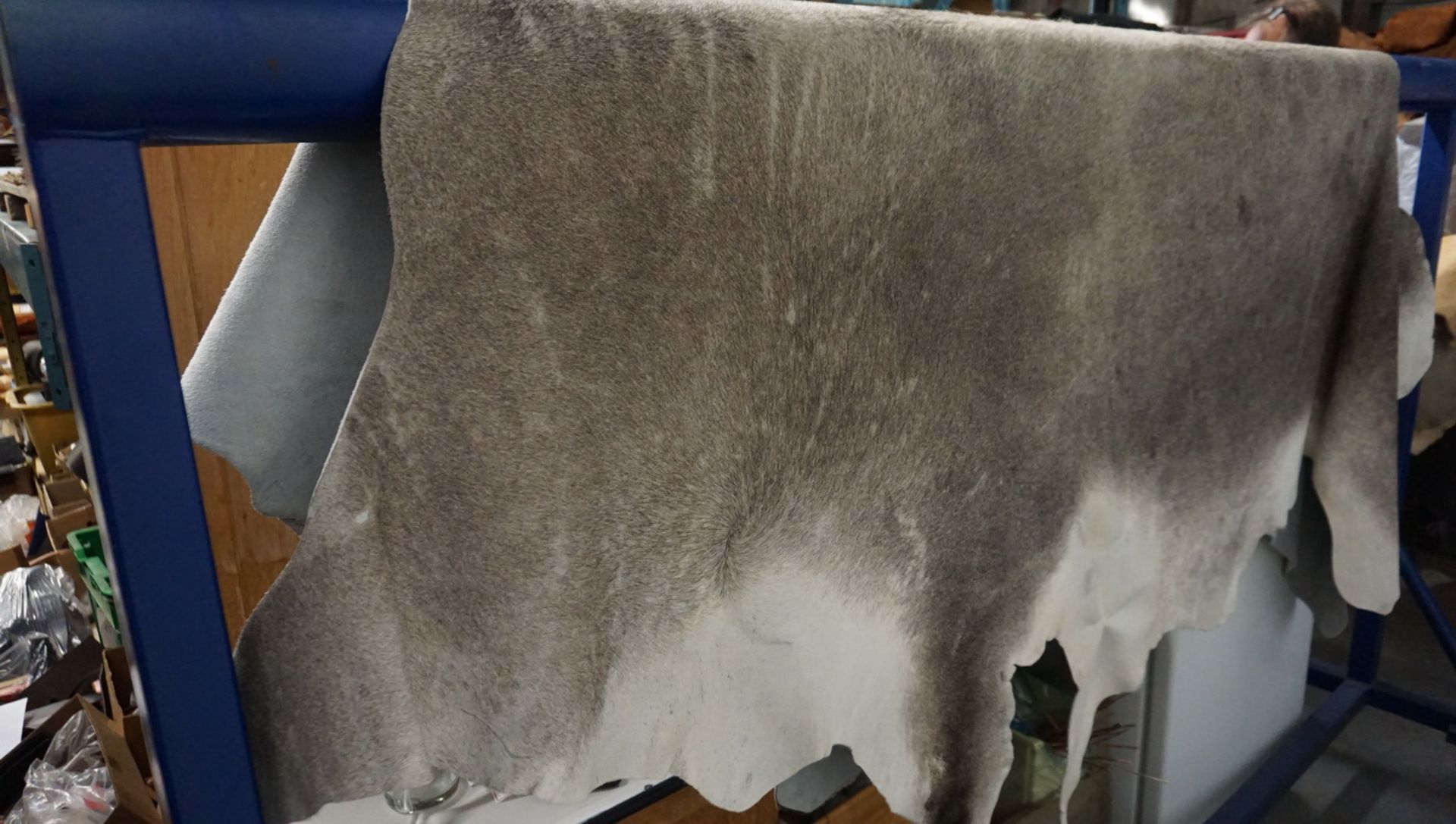GREY APPROX 40 SQFT HORSE HIDE - Image 2 of 2