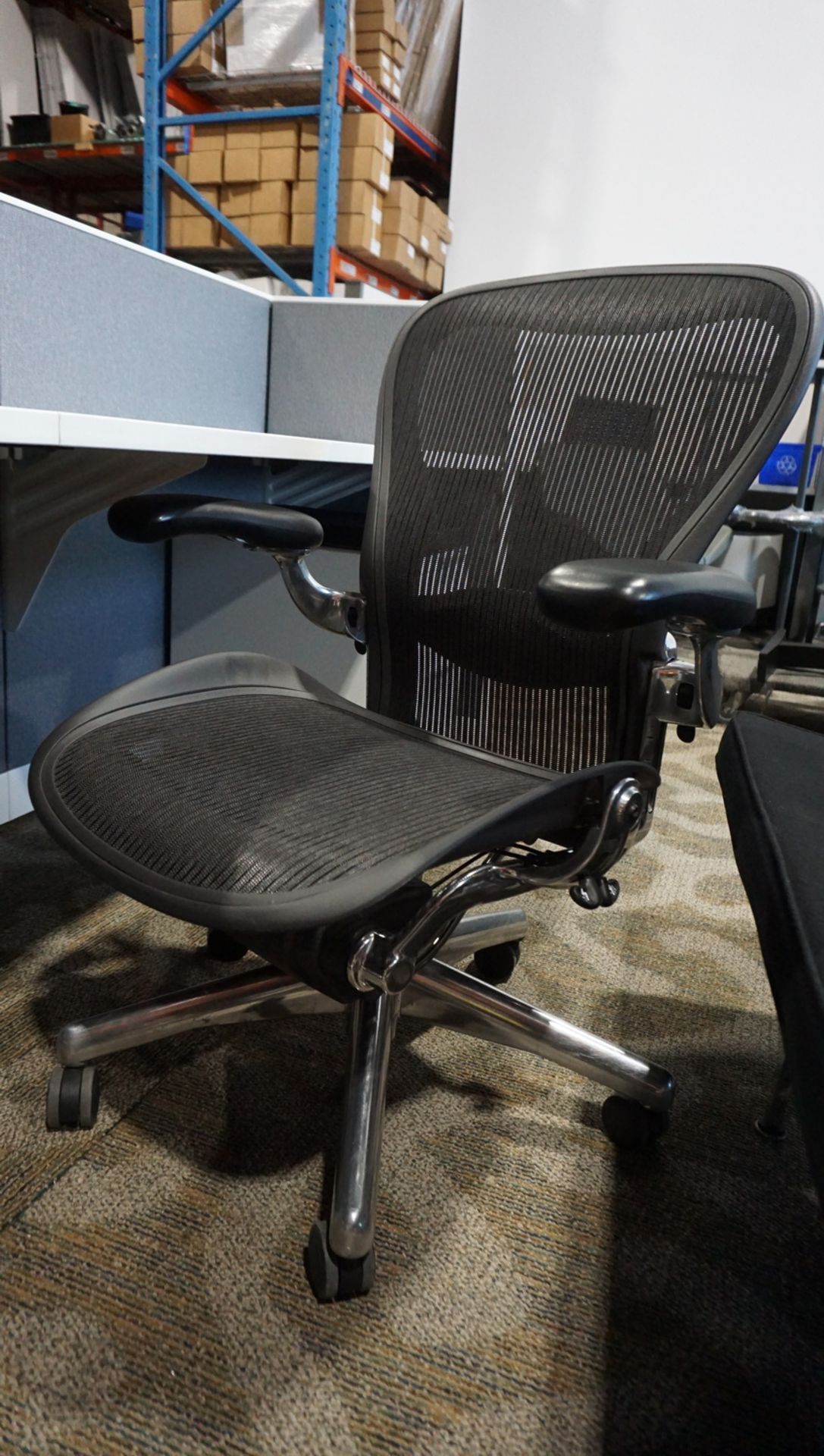 HERMAN MILLER AERON (SIZE B) OFFICE CHAIR W/ POLISHED ALUMINUM FRAME & BASE, LUMBAR SUPPORT,