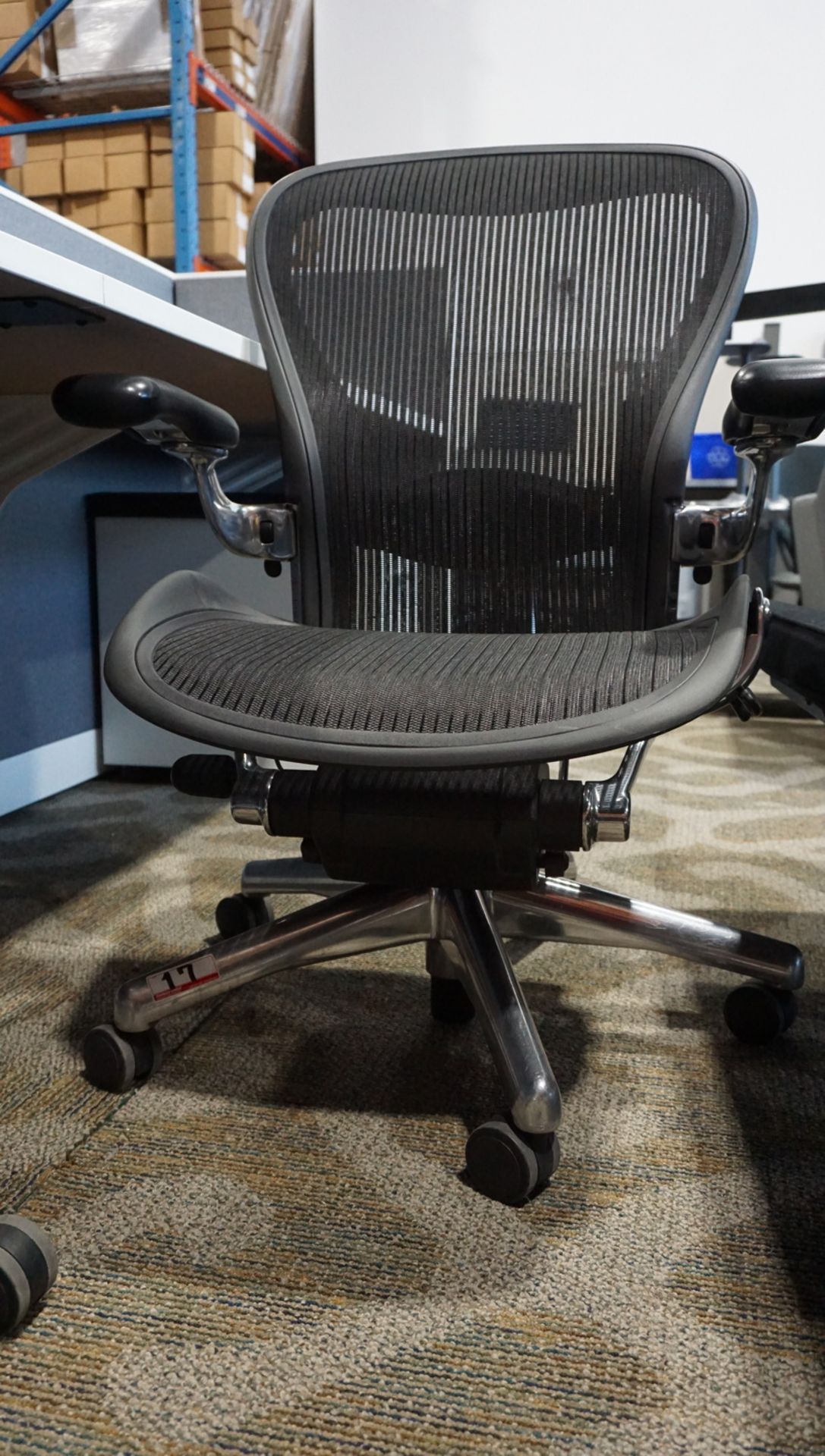 HERMAN MILLER AERON (SIZE B) OFFICE CHAIR W/ POLISHED ALUMINUM FRAME & BASE, LUMBAR SUPPORT, - Image 2 of 3