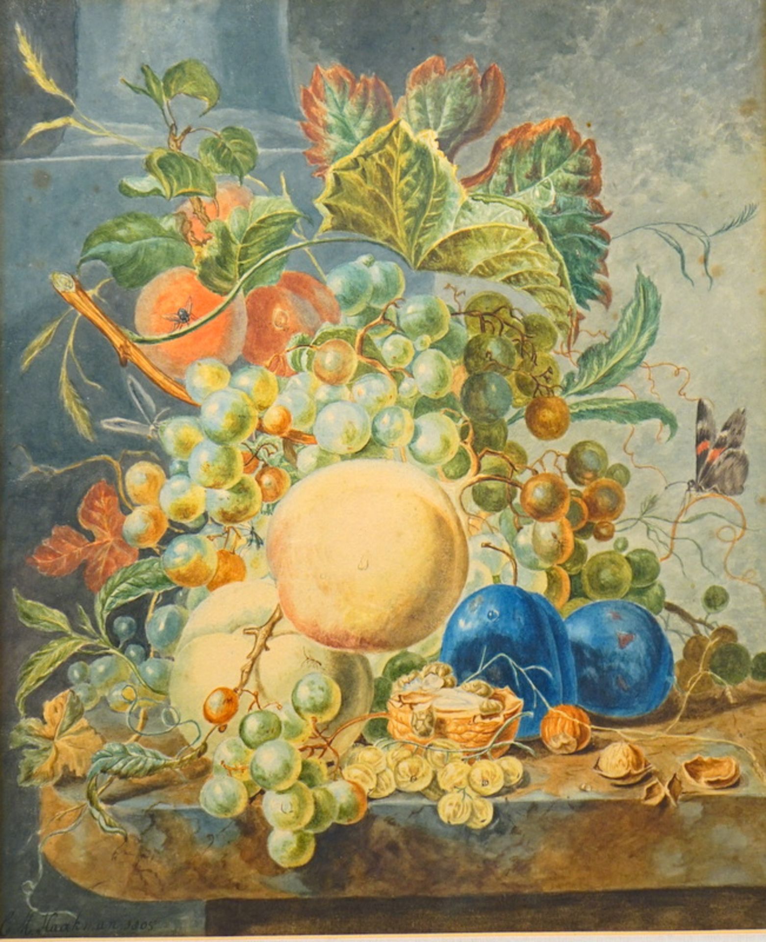 Haakman, Cornelia Maria: Früchtestilleben, Aquarell auf Papier, 1805