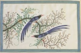 2 Grosse Reispapiermalereien mit Vögeldarstellungen China 19. Jh.