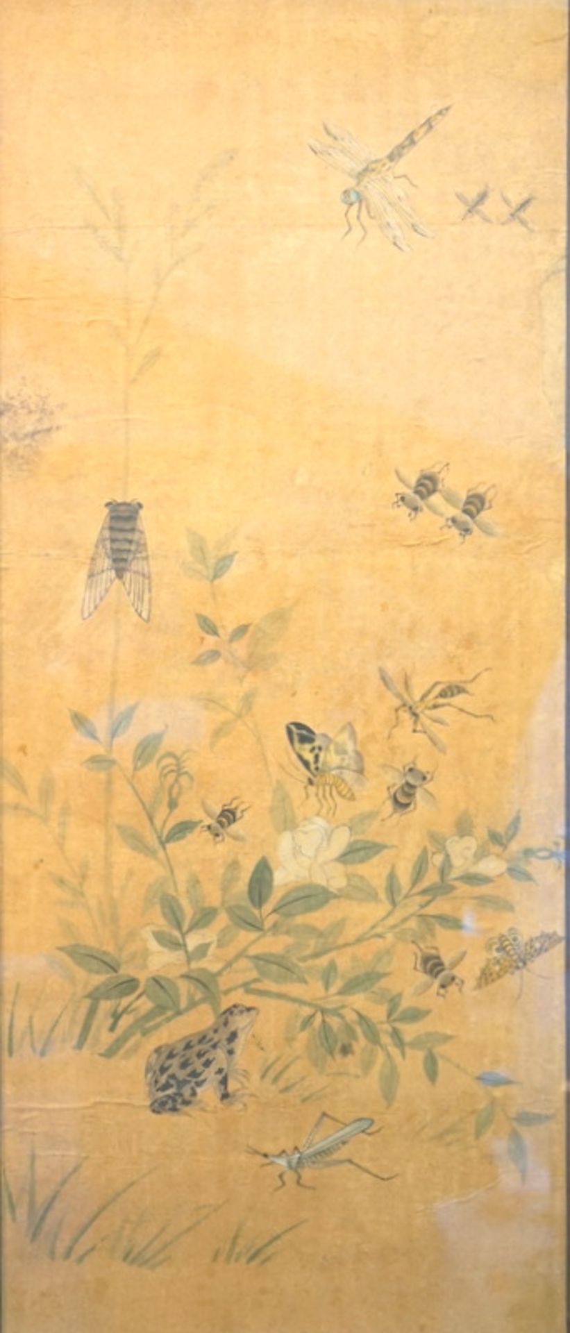 chinesische Tuschpinselzeichnung mit Insekten und Fröschen 18.Jh