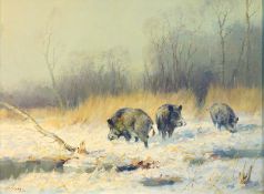 Schatz, Manfred: Wildschweine im Winterwald