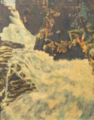 Kotz, J. (unentschl.): Fotorealistischer Wasserfall mit Kuh - Dat 1945 USA