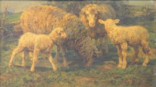 Wolf, Georg: Schafsfamilie auf der Sommerweide