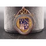 9CT GOLD ENAMEL FILLED MEDAL