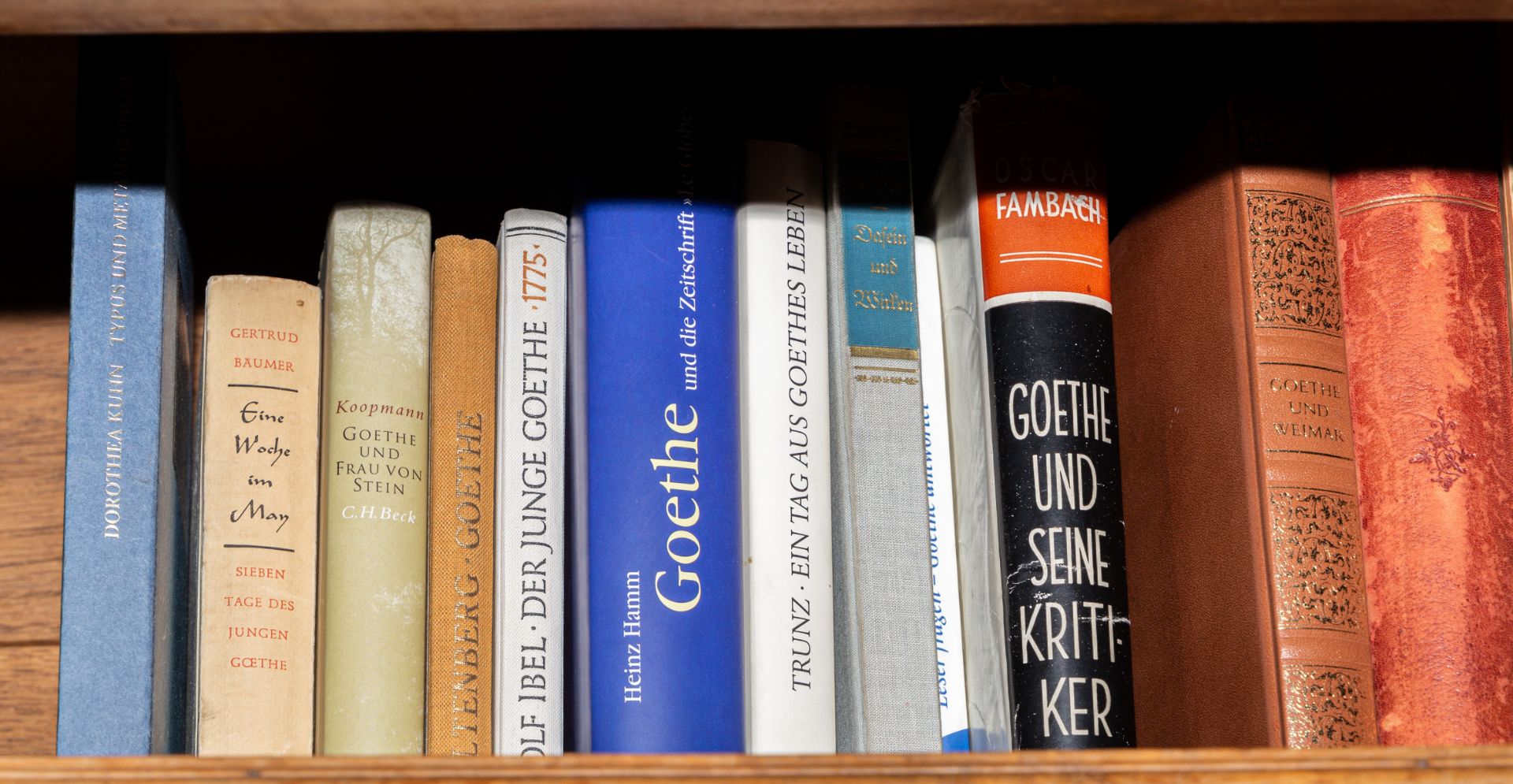 Große literaturwissenschaftliche Bibliothek zu Johann Wolfgang von Goethe - Image 27 of 27