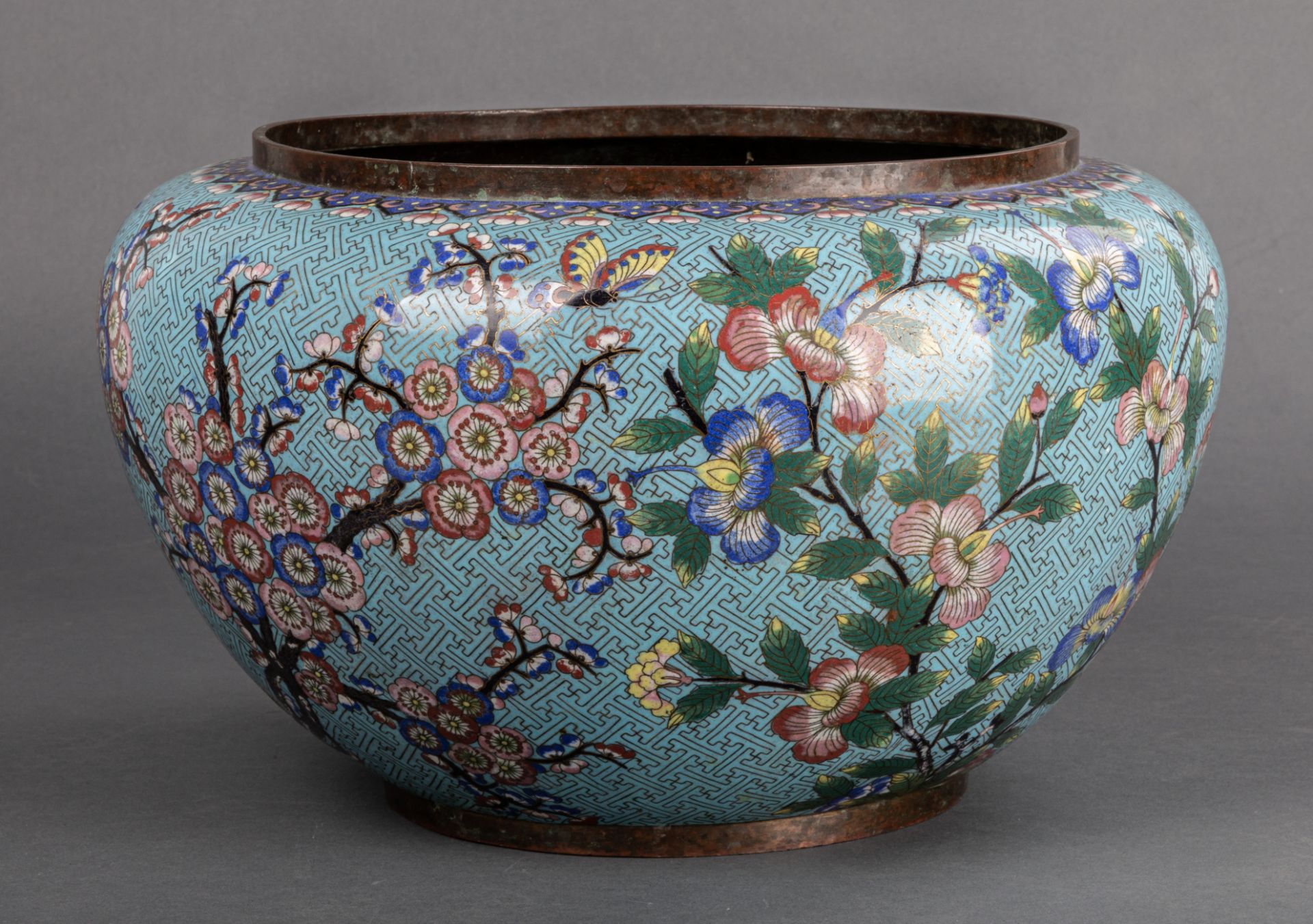 Großer chinesischer Cloisonné-Übertopf, 19. Jh.