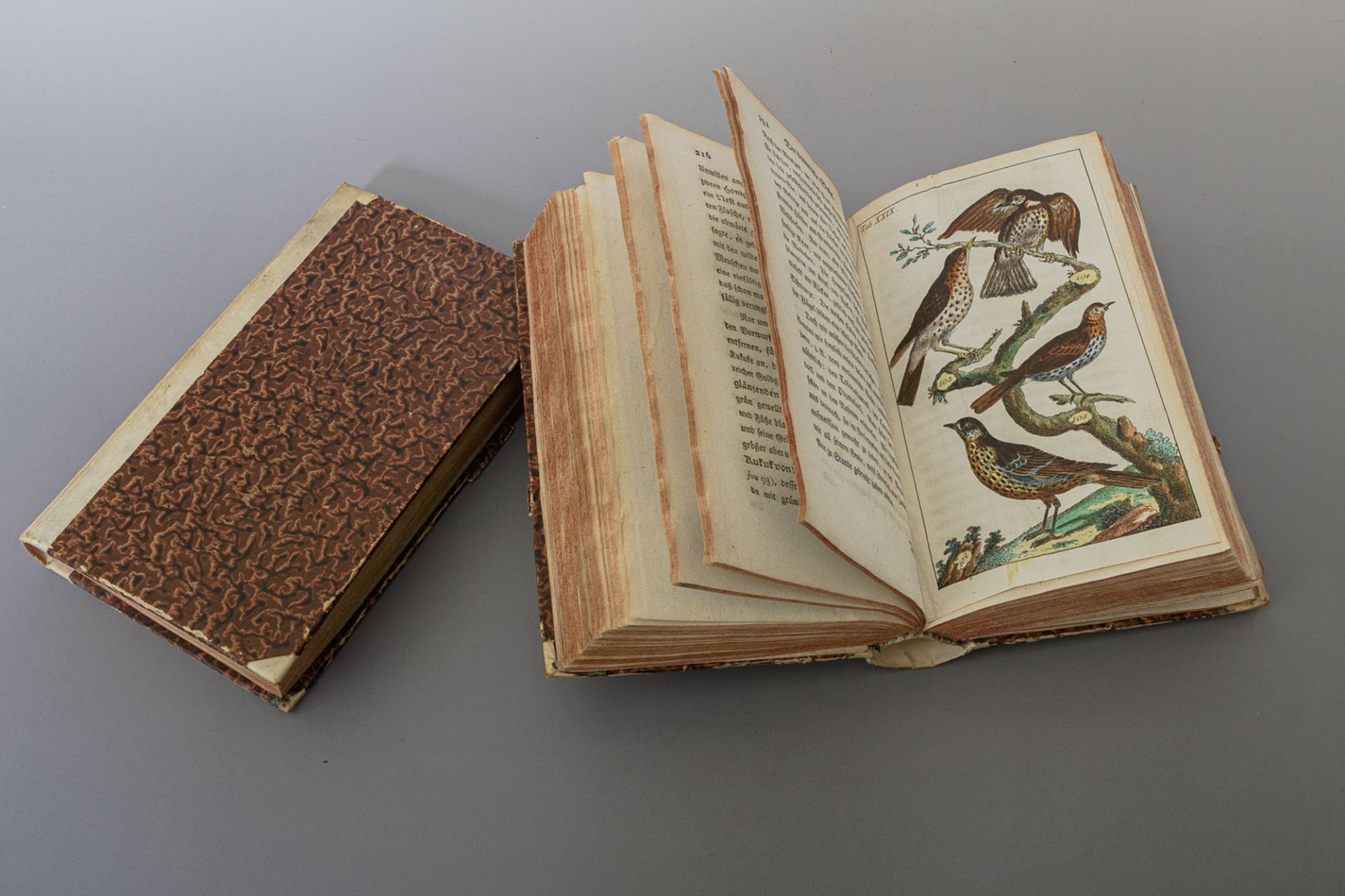 'Unterhaltungen aus der Naturgeschichte: Der Vögel erster Theil, neue Ausgabe' - Bild 3 aus 5