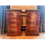 A pair of French 19th century slate topped mahogany apothecary cupboards, each with five annotated