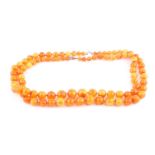 A double-strand amber necklace, each graduating row of 10.2 mm-23.4 mm amber beads, to an S hook,