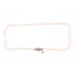 A single strand pearl necklace, light cream off-round and oval pearls graduated from 3.6-5.5mm