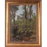 Hans Sandreuter (1850-1901) Swiss, a woodland scene, oil on canvas, signed and dated 1937 to