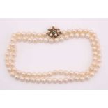 A single row of cultured pearls; unform size to a 9 carat gold and cluster pearl clasp. Pearls