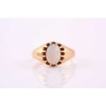 A single stone opal ring; the oval opal in carved claw mount, within a tapering band marked '
