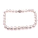 A South Sea pearl necklace, the twenty seven pearls graduated from 14-16.5mm diameter, knotted