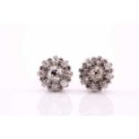 Pair of diamond cluster earrings, each centred by an old mine cut diamond, within a surround of