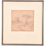 Jacob Hendrik Pierneef (1886-1957), Acacias, pencil on paper, signed and dated 1927, 13 cm x 14 cm