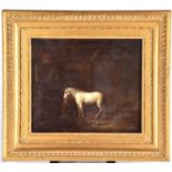 19th century school, study of a white horse in a stable, unsigned oil on panel, 24.5 cm x 28.5 cm in