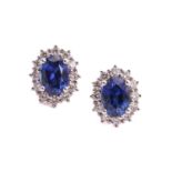 A pair of sapphire halo earrings, each consisting of an oval sapphire with intense blue body colour,