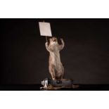 Nick Stroud, aka Killjoy, Untitled, taxidermy rat holding a placard standing on a "94" spray can,