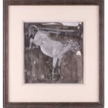 Carton Moore Park (1877-1956), 'The Kicking Donkey', grisaille watercolour heightened with white, 37