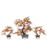 A garniture of Chinese ornamental Bonsai trees, Republic period of slightly later, with polished