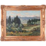 20th century, possibly German School, Alpine Landscape with Trees, unsigned, oil on board, framed,