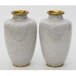 Paar chinesische Cloisonné-Vasen.
