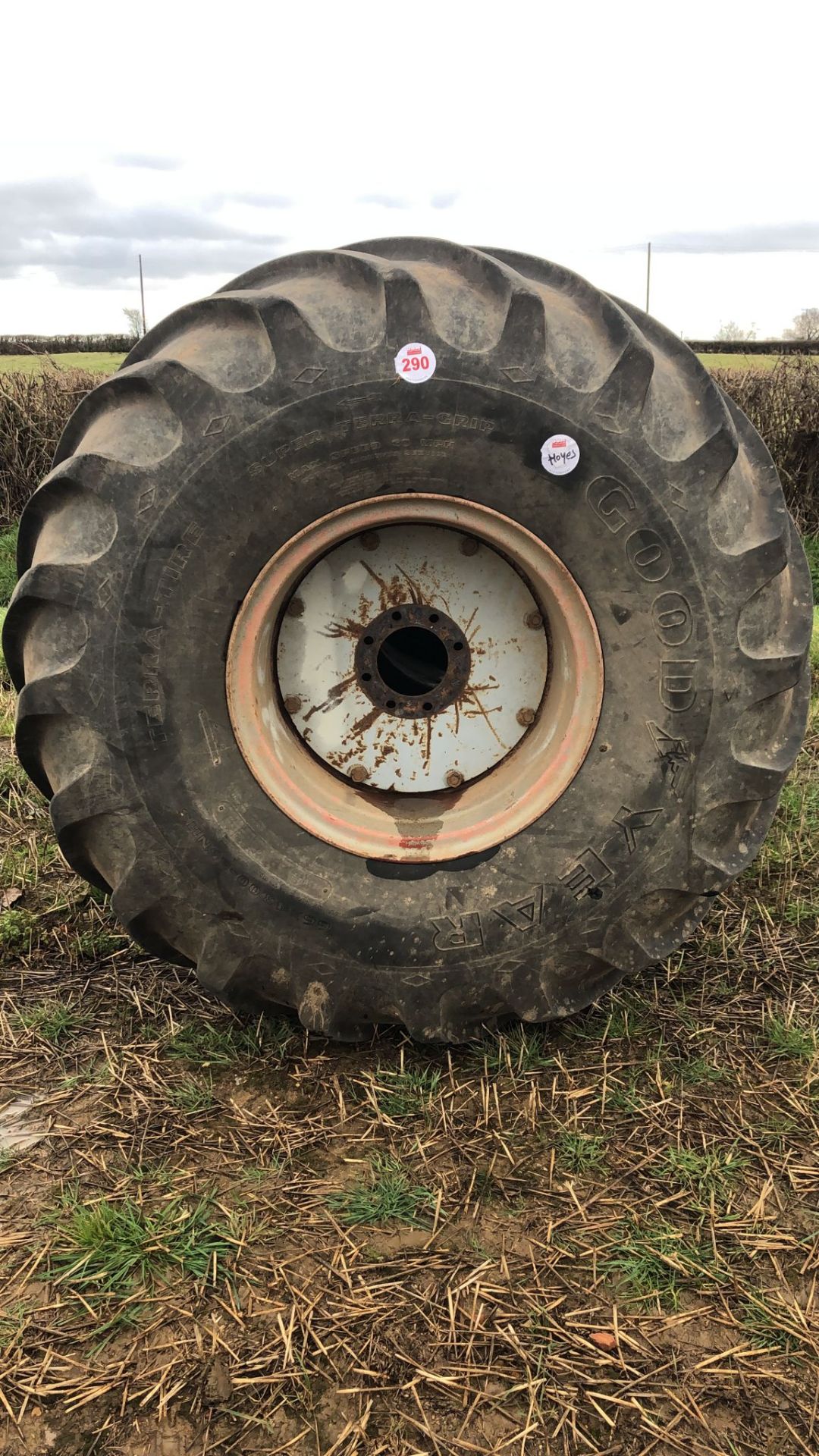 Pair of Goodyear Terra Tyres on Rims 66 / 43 / 25