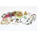 Lot diverse sieraden